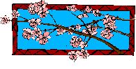 Cherry Blossoms