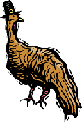 Turkey with Pilgrim Hat