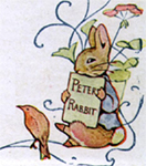 Peter Rabbit