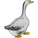 Goose