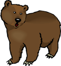 Brown Bear