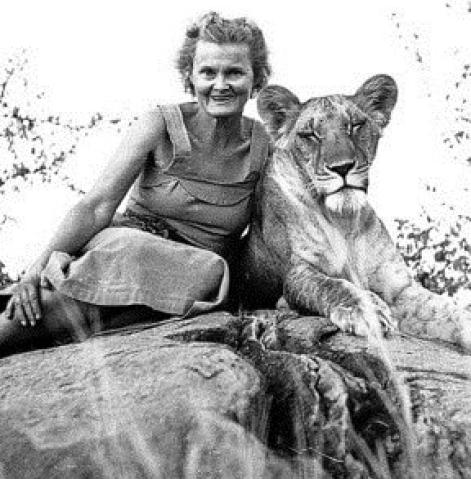 On this day in 1910, animal rights activist Joy Adamson was born.