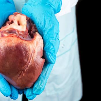 Dr. Christian Barnard performed the first human heart transplant.
