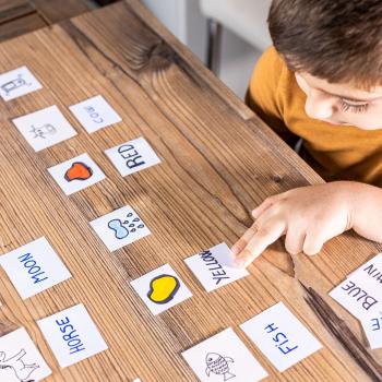 Word Sorts for Beginning and Struggling Readers