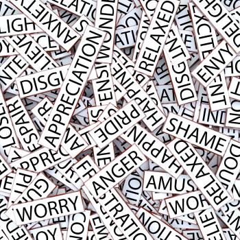 Avalanche, Aztek, or Bravada? A Connotation Minilesson