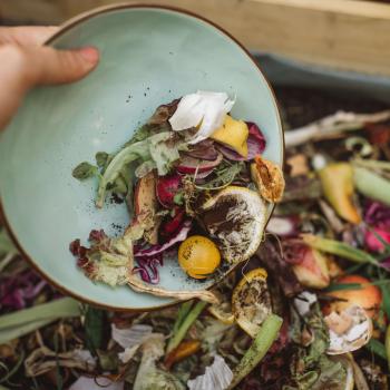 Finding Solutions to Food Waste: Persuasion in a Digital World