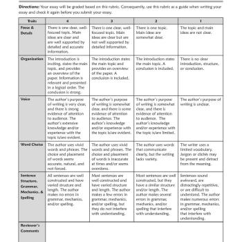 rubric for essay writing brainly