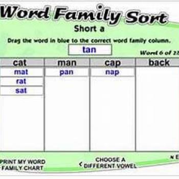 Word Family Sort